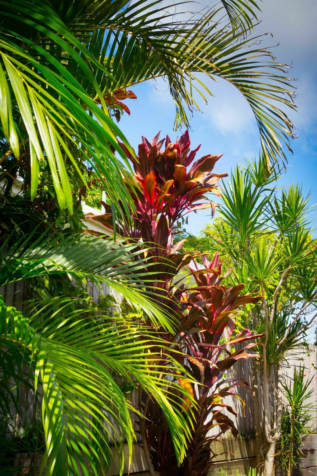 Ruskin House Byron Bay Exterior foto